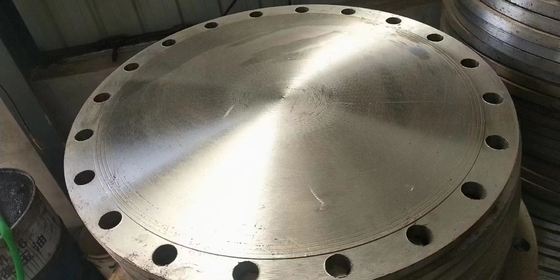 El cuello de la soldadura de 72 pulgadas aumentó la prueba del moho del reborde 310S 316LN 317L de la cara engrasada