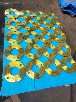 Brida de tubería roscada de acero inoxidable Dn15-Dn1200 300 lb estándar múltiple