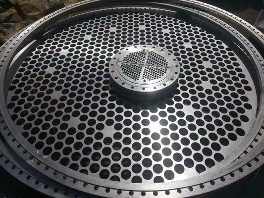El cuello de la soldadura de 72 pulgadas aumentó la prueba del moho del reborde 310S 316LN 317L de la cara engrasada