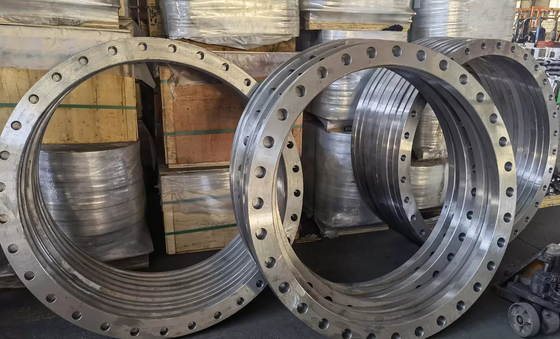 El acero del OEM ASTM A105carbon forjó la superficie del aceite de la prueba del moho de los rebordes SCH80