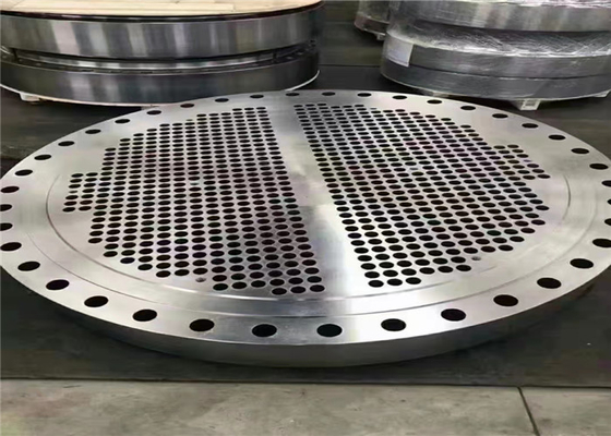 El cuello de la soldadura de 72 pulgadas aumentó la prueba del moho del reborde 310S 316LN 317L de la cara engrasada